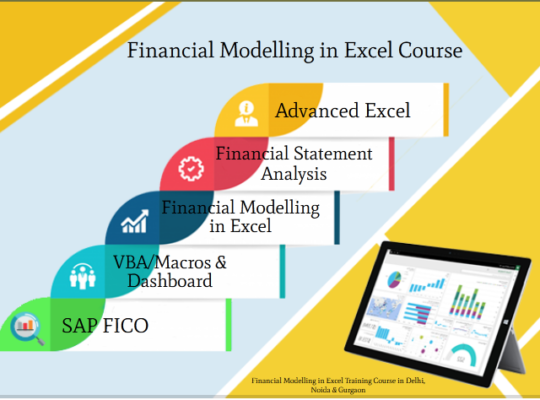 Financial Modeling & Valuation Analyst Course in Delhi