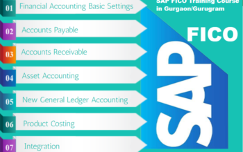 SAP FICO Course in Delhi, SLA Accounting Institute, SAP s/4