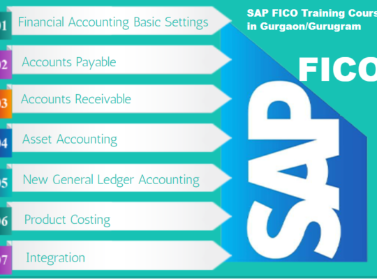 SAP FICO Course in Delhi, SLA Accounting Institute, SAP s/4